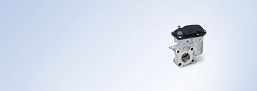 Exhaust Gas Recirculation Valves 1440x512px cover image