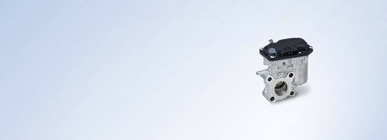 More on Exhaust Gas Recirculation Valves