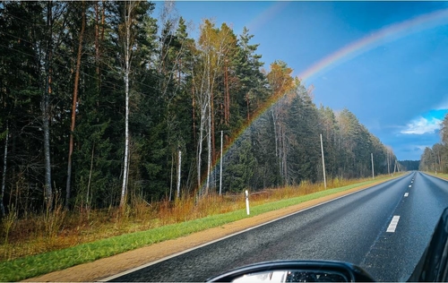 Wiper Blades Autumn