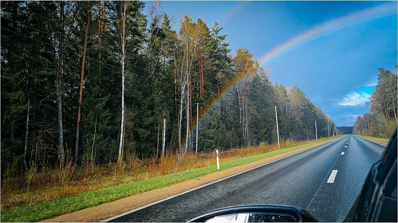 Wiper Blades Autumn