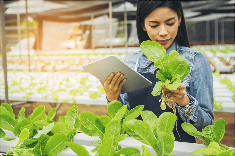 IOT in Greenhouses