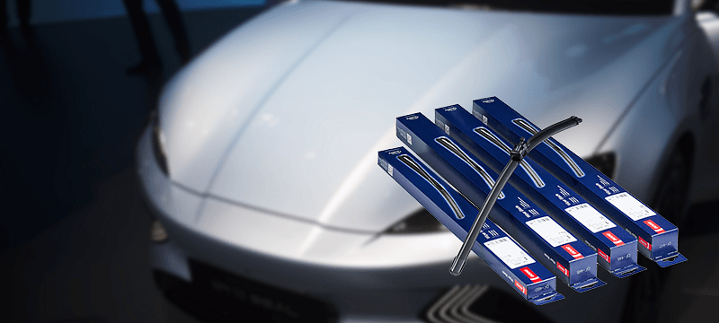 800 x 360px V2