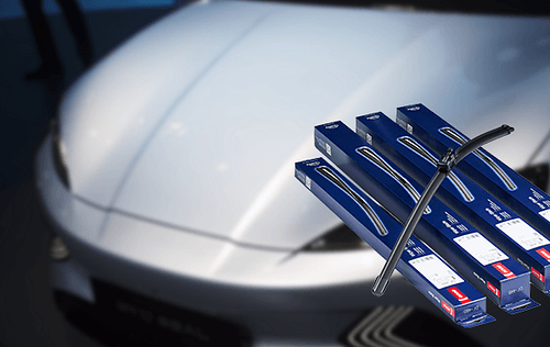 800 x 360px V2