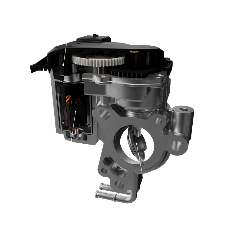 5 EGR Valve internal parts text