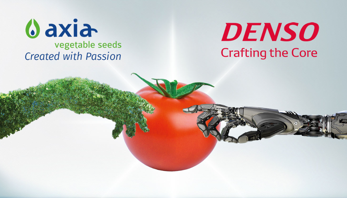 DENSO acquires Axia Vegetable Seeds to realise sustainable agriculture