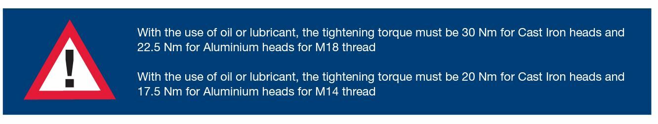 CoGen Spark Plug Lubricant Warning