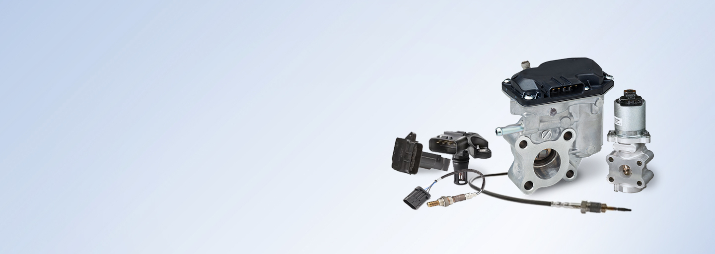 Engine Management Systems